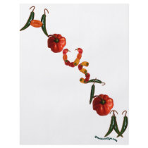 Houston Chili Peppers flyers by chili_state Houston Chili Peppers flyers