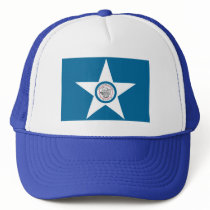 Houston Flag Mesh Hat