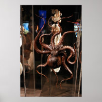 Houston Museum of Natural Science Poster posters