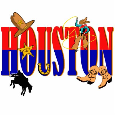 suntuf 16 sqftplastic roofing panel houston