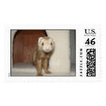 Houston postage