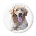 hovawart blond magnets