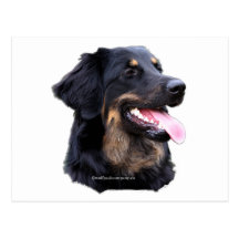 hovawart zwart blond postcards