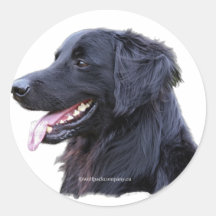hovawart zwart stickers