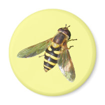 Hover fly ~ magnet