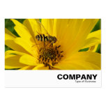 Hover Fly on a Yellow Chrysanthemum Business Cards