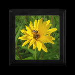 Hover Fly on a Yellow Chrysanthemum gift boxes