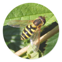 Hover fly ~ sticker by Andy2302 Hover fly ~ sticker