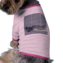 Hovercraft Ship pet clothing