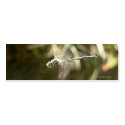 Hoverer Bookmark business cards