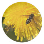 Hoverflies on Dandelions Plates