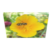 Hoverfly and Californian Poppy Canvas Print