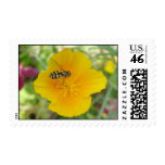 Hoverfly and Californian Poppy Postage Stamps