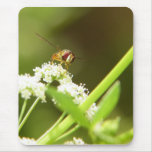 Hoverfly in Celery Mousepad