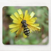 Hoverfly Mousemat - Chrysotoxum festivum mousepads