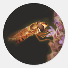 Hoverfly Sticker