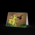 Hovering Bumblebee Watercolor Style Greeting Card