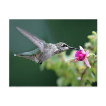 Hovering postcards by valleyvisions Hovering postcards
