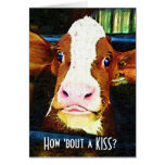 How About a Kiss? Funny Cow Any Occasion cards