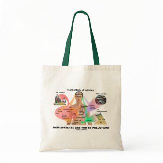 How Affected Are You By Pollution? (Physiology) bag