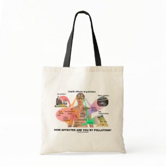 How Affected Are You By Pollution? (Physiology) bag
