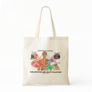 How Affected Are You By Pollution? (Physiology) bag