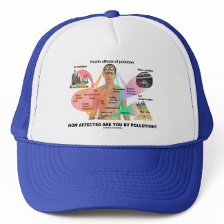 How Affected Are You By Pollution? (Physiology) hat