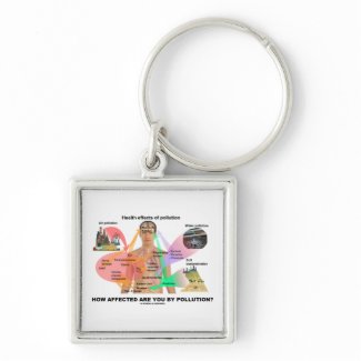 How Affected Are You By Pollution? (Physiology) keychain