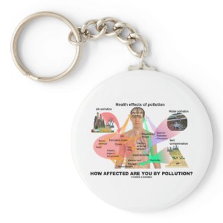 How Affected Are You By Pollution? (Physiology) keychain