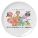 How Affected Are You By Pollution? (Physiology) Party Plate