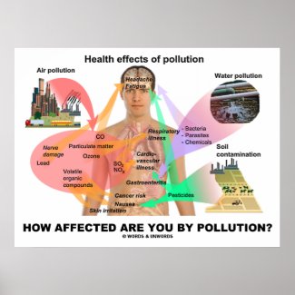 How Affected Are You By Pollution? (Physiology) print