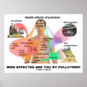 How Affected Are You By Pollution? (Physiology) Posters