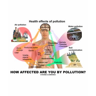 How Affected Are You By Pollution? (Physiology) shirt