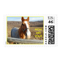 HOW ARE YOU? - postage stamps by Horseshoes3 HOW ARE YOU? - postage stamps