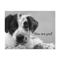 How are you? postcards