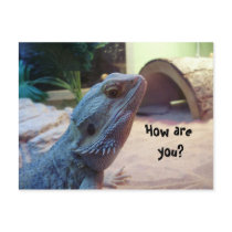 How are you? post card