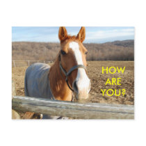 HOW ARE YOU? - postcard by Horseshoes3 HOW ARE YOU? - postcard