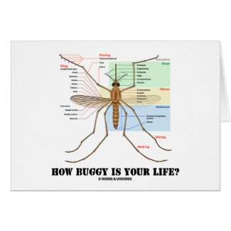 How Buggy Is Your Life? (Mosquito Anatomy Humor) card