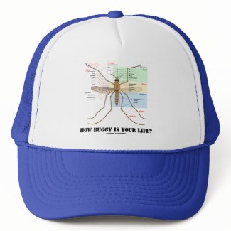 How Buggy Is Your Life? (Mosquito Anatomy Humor) hat