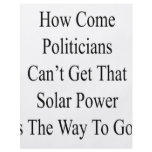 How Come Politicians Can't Get That Solar Power Is Flyer
