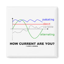 How Current Are You? (Various Currents Physics) Fridge Magnets