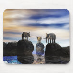 how did he get there, fred? mouse mats
