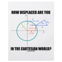 How Displaced Are You In The Cartesian World? flyers