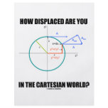 How Displaced Are You In The Cartesian World? Flyer Design