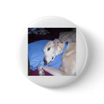 How Every Greyhound should Live Pinback Buttons