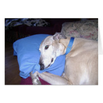How Every Greyhound should Live Greeting Cards