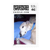 How Every Greyhound should Live Postage