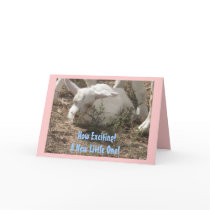 How Exciting! A New Little One! - New Baby cards