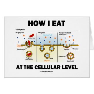 How I Eat At The Cellular Level (Endocytosis) card
