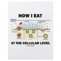 How I Eat At The Cellular Level (Endocytosis) flyers